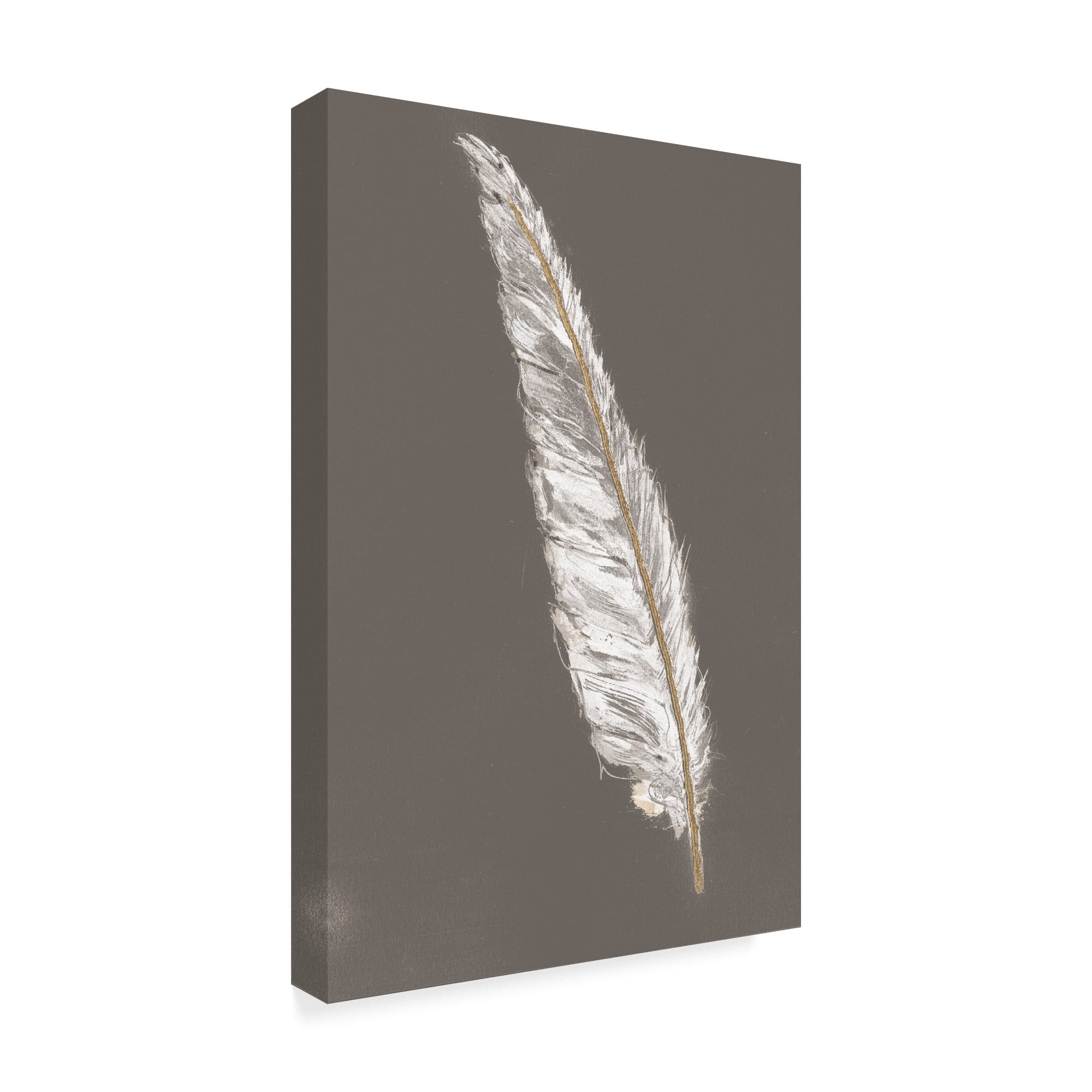 Pure Gold Feather VI Giclee Stretched Canvas Artwork 20 x 30 Global Gallery Chris Paschke