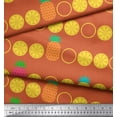 thumbnail image 2 of Soimoi Orange Cotton Jersey Fabric Pine & Lemon Slices Fruits Fabric Prints By Yard 58 Inch Wide, 2 of 3