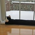 thumbnail image 4 of Evelots Cat Draft Stopper-Door/Window-36-Keep Heat in-No Noise/Cold Air-Set/2, 4 of 4