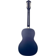Recording King Dirty 30s Resonator Guitar Blue
