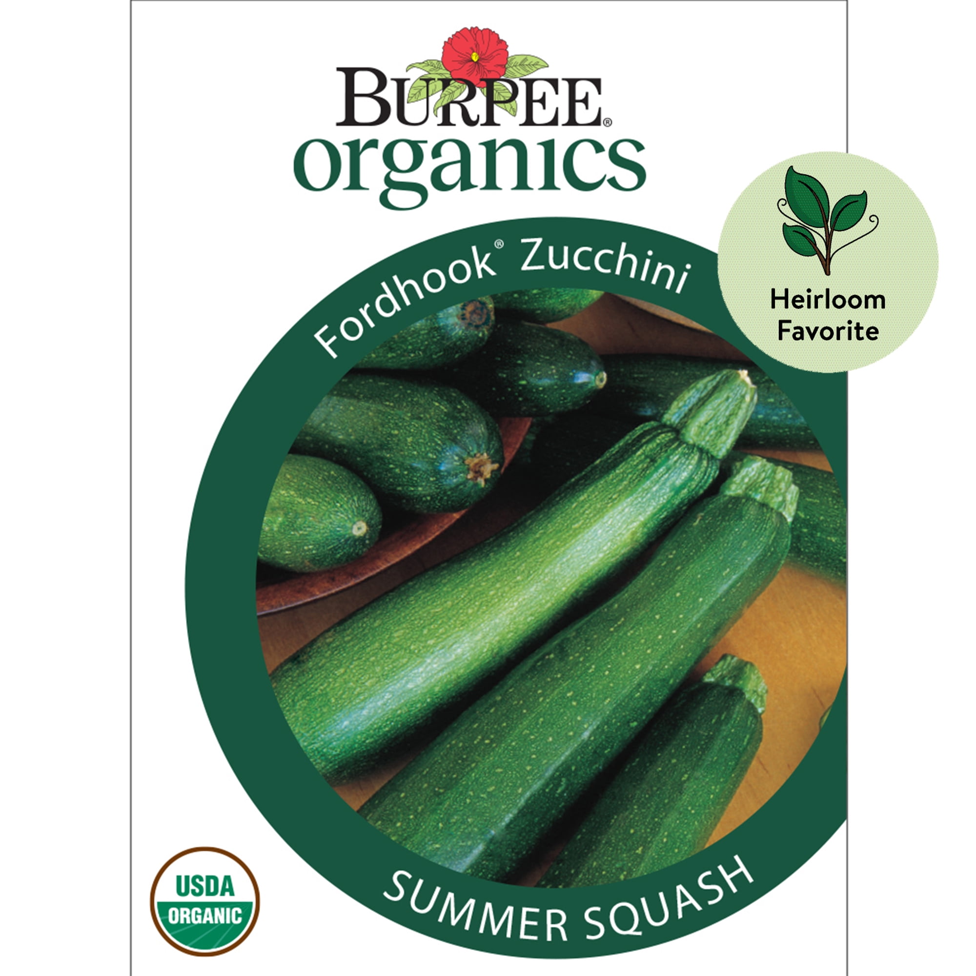 10 Pcs Seeds Summer Squash Bonsai Organic Zucchini Vegetable Plants Garden NEW Y 