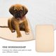 thumbnail image 3 of TABLETREANDS 2Ud Almohadillas De Entrenamiento Para Perros Beige Material Impermeable Reutilizable, 3 of 6