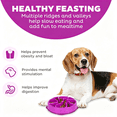 Dog Bowl Pattern NORIZF Slo Bowl – Medium 2‑Cup Capacity, Slow Feeding, Small to Medium ...