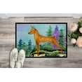 thumbnail image 2 of Carolines Treasures SS8660MAT Tapis de Porte Intérieur Min. 18 x 27 Po, 2 of 4