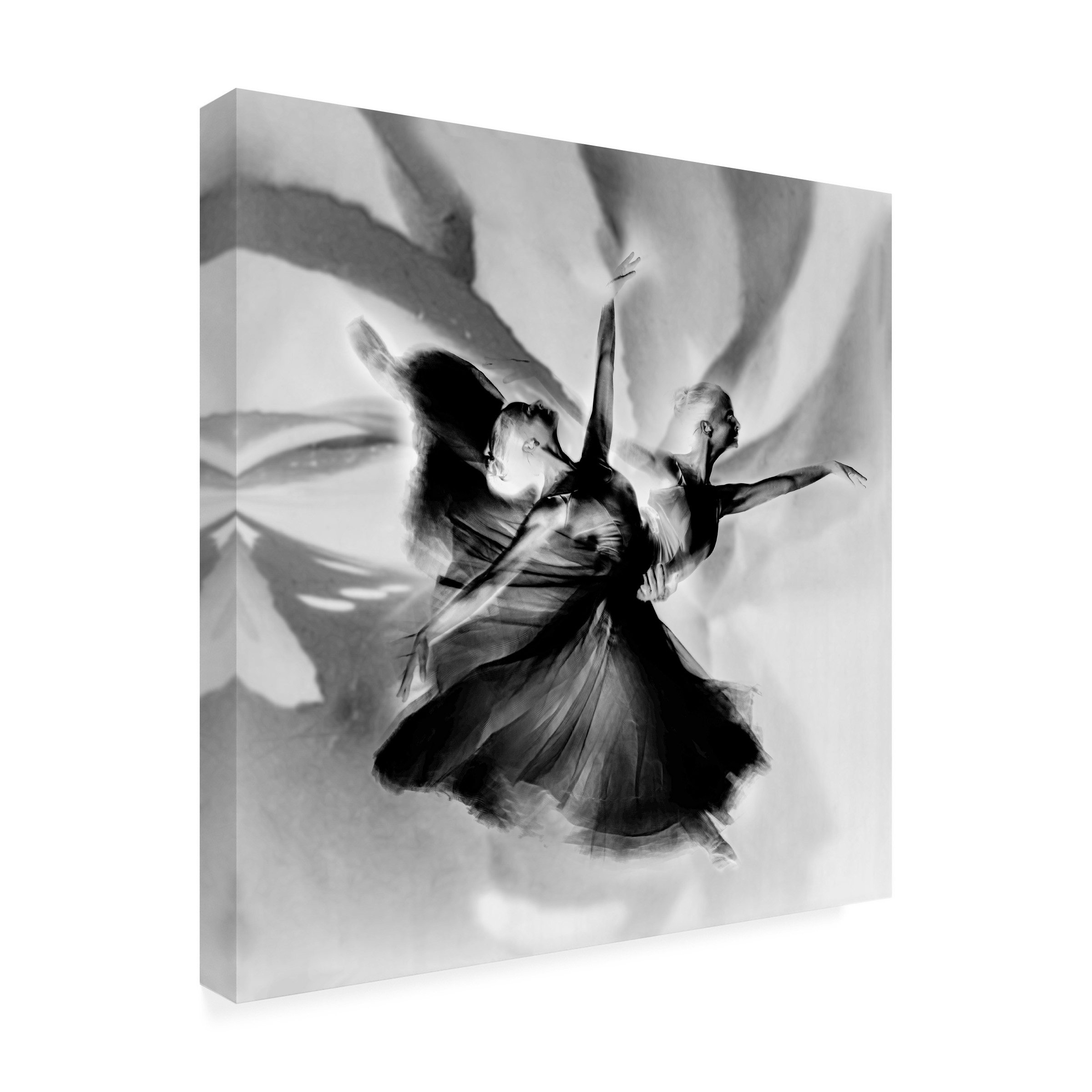 Trademark Fine Art Rachel Pansky  Dance in black and white Canvas Wall Art