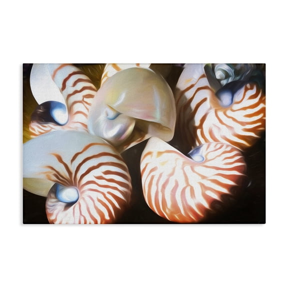 Stupell Industries Nautilus Shells Cluster Nautical & Beach Painting Wrapped Canvas Art Print Wall Art, 24 x 16