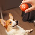 thumbnail image 3 of CHUANK Pet Ball Toy Smart Interactive Dog Jumping Ball Toy Bite-resistant Active Rolling Ball, 3 of 8