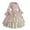 Pink, variant on Fsgntruao Renaissance Dress forWomen Medieval Costume Dress Peasant Medieval Dress Long Sleeve Vintage Maxi Dress forParty Cosplay