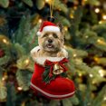 thumbnail image 2 of Binwennn String Curtain Ornament Set Ceramic Santa Boot Funny Christmas Dog Acrylic Ornament Christmas Dogs Ornament Christmas Stocking Animal Ornament Christmas Ornament Christmas Decoration, 2 of 7