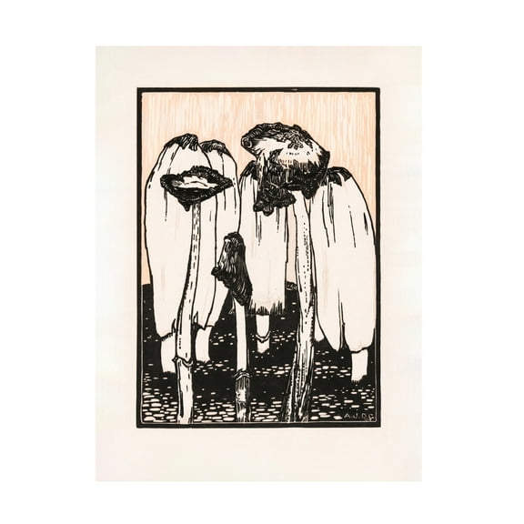 Trademark Fine Art Pictufy Ink Mushrooms 1915 Canvas Wall Art