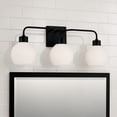 thumbnail image 6 of Capital Lighting 120031MB-540 Tanner 3 Light 25" Wide Vanity Light - Black, 6 of 6
