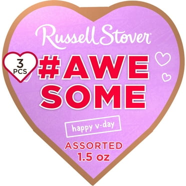 RUSSELL STOVER Valentine's Day Conversation Heart #Awesome Assorted Milk & Dark Chocolate Gift Box, 1.5 oz. (3 Pieces)