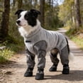 thumbnail image 3 of Forestwhale All-Weather Dog Coverall with Attached Boots Waterproof Insulated Jumpsuit with Reflective Stripes for Year-Round Outdoor Use Grey - M, 3 of 8