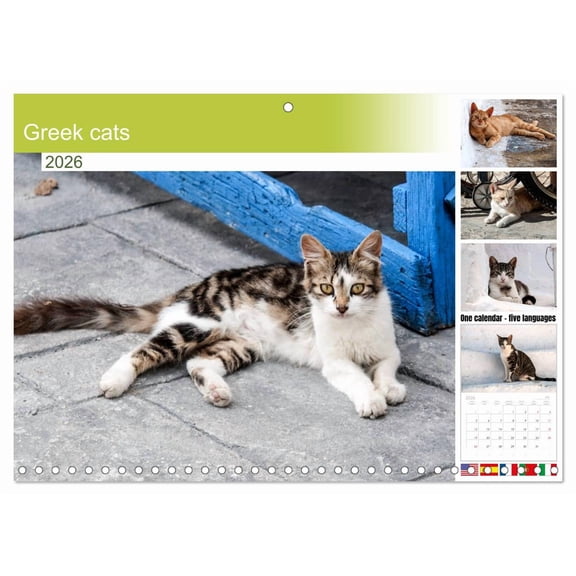 Greek cats (Monthly Wall Calendar 2026 11.7 x 16.5 (open)), CALVENDO 14 Month Calendar