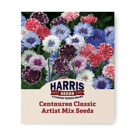 Harris Seeds Centaurea Classic Artist Mix Bachelor’s Button Flower Mix 1 000 Count