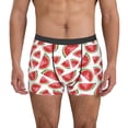 thumbnail image 1 of Fotbe Hand Drawn Watermelon Pattern Men’s Total Support Pouch Boxer Briefs, X-Temp Cooling, Moisture-Wicking Underwear, Regular, Long-leg and Trunk-Small, 1 of 5