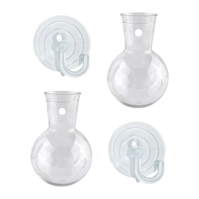 Maceta colgante de pared con ventosas, transparente y fácil de propagar. 2 piezas