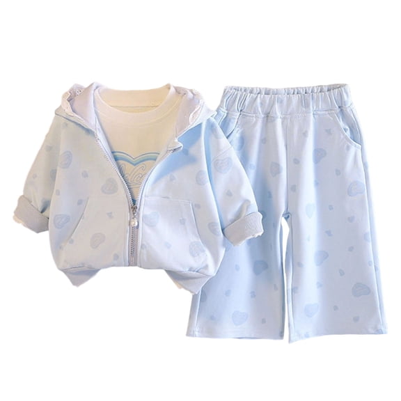 Duqingm Toddler Girls Fall Clothes Kids Hoodie Zipper Sweatshirt and Sweatpants Outfits Girls Winter Sweatsuit (Blue,3-4Years)
