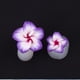 thumbnail image 4 of Separador de dedos con flores, separador de dedos para mujer, decoración de uñas, pedicura, manicura, separador de dedos, 4 of 5