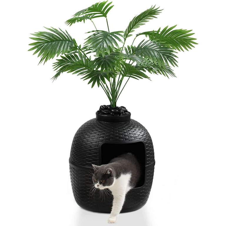Cat Litter Box That Looks Like A Plant