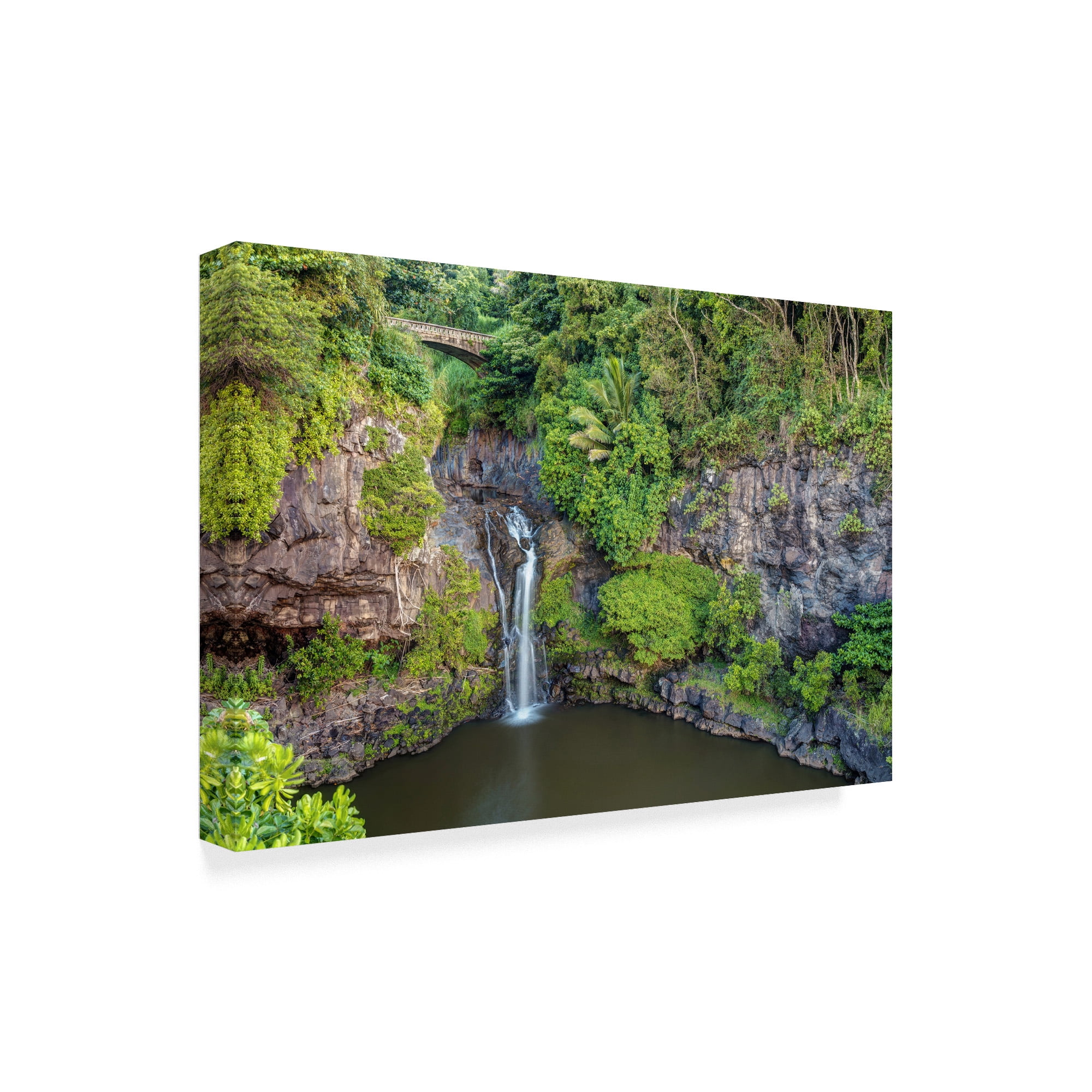 Trademark Fine Art 'Oheo Gulch Maui' Canvas Art by Pierre Leclerc