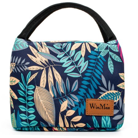 Fashionable Lunch Box For Women Insulated Cute Bag