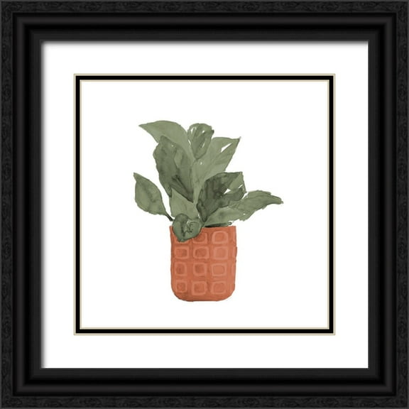 Loreth, Lanie 12x12 Black Ornate Wood Framed with Double Matting Museum Art Print Titled - Plant In Terracotta  Pot II