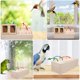 thumbnail image 4 of BRIGHTFUFU Hamster Traks Box Wood Hamster Food Feeding Caja de alimentos Forning Forrajing Toy Hamster Juezca, 4 of 6