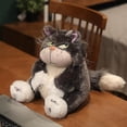 thumbnail image 3 of Juguete de peluche YONGSHENG Disney Kawaii Lucifer 30cm, 3 of 5