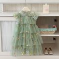 thumbnail image 5 of Curuila Kids Toddler Girls Mesh Dress Flutter Sleeve Floral Embroider Crew Neck Party Comfort Dresses For Girls Size 3-4 Years, 5 of 5