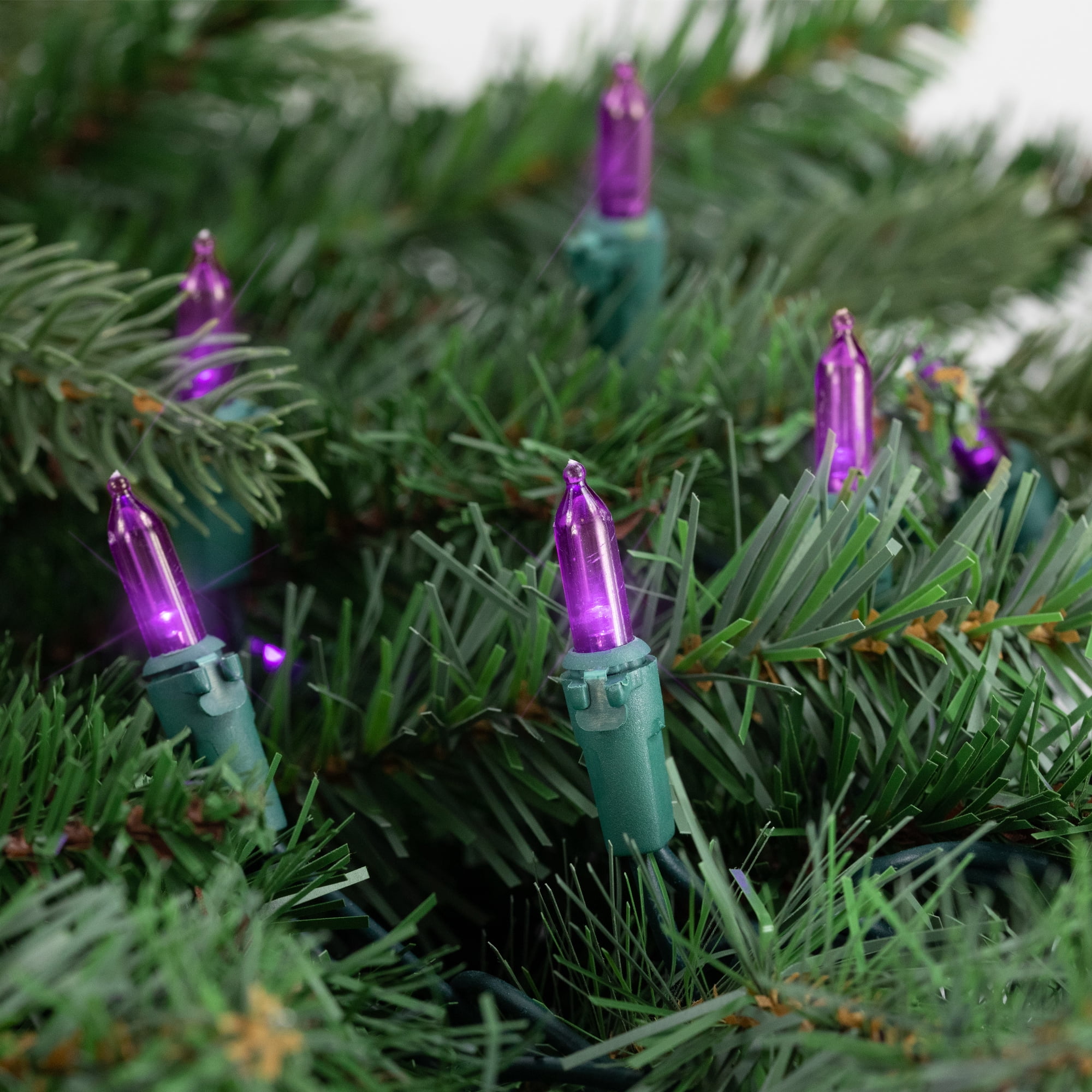 Set of 50 Purple LED Mini Christmas Lights 4" Spacing - Green Wire