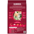IAMS PROACTIVE HEALTH Adult Dry Dog Food Beef and Rice, 15 lb. Bag
