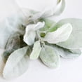 thumbnail image 5 of LOLIPPYY 5Pcs Lifelike Artificial Leaves Green for Home and Party Decoration, 5 of 5
