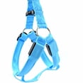 thumbnail image 3 of Goowood Dog Harness with Light LED Rechargeable Soft Padded Adjustable Reflective Glow Dog Harness for Night Walking Small Dogs Camping and Outdoor Safety, 3 of 9