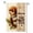 Color 4, variant on SPXUBZ Funny Squirrel Garden Banner, 12x18 Inch Double-Sided Welcome to the Nuthouse, Rustic Outdoor Flag for Fall Spring Summer Decor, Cute Animal Sign for Farmhouse Garden