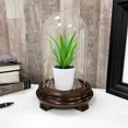 thumbnail image 4 of Plymor 4" x 7" Glass Display Dome Cloche (Walnut Wood Veneer Footed Base), 4 of 4
