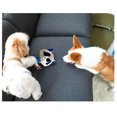 thumbnail image 5 of Juguete de peluche chirriante para perros medianos y grandes, 3 en 1 (cabeza rellena chirriante, cuerpo de goma y cola de papel arrugado) Juguetes duraderos para masticar para perros Juguetes, 5 of 5
