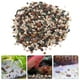 thumbnail image 2 of Grava de acuario para peceras, piedras decorativas para paisajismo acuático, pequeños guijarros para plantas, rocas de río para decoraciones de peceras de acuario, 2 of 3