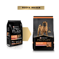 thumbnail image 2 of Combo Pro Plan Sensitive Skin Adulto Razas Medianas 3 Kg MAS Dos Latas Royal Canin Adulto 385 gr, 2 of 3