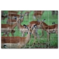 thumbnail image 1 of Picture-Tiles.com: Deer Ceramic Tile Wall Mural WAL500452-64L. 48"W x 32"H using (24) 8" x 8" Ceramic Tiles-Satin Finish, 1 of 3