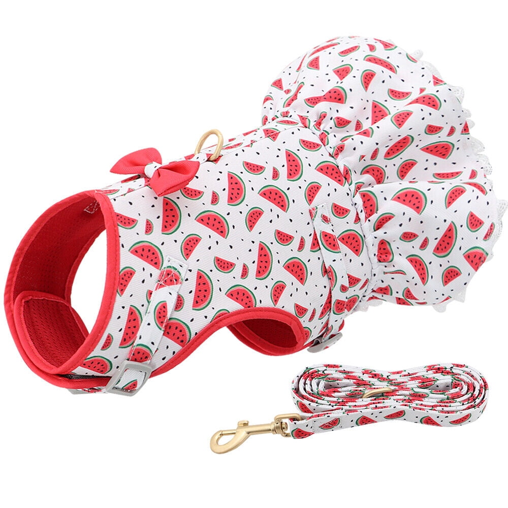 Didog Female Dog Harness Dress and Leash Fancy Small Pet Cat Summer Vest Clothes Yorkie