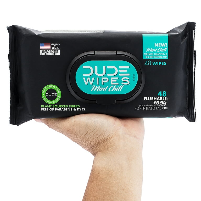 DUDE PRODUCTS DUDE Wipes Dispenser Flushable (48-Count) 100540735