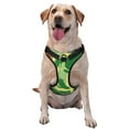 thumbnail image 1 of Green Abstract Graffiti Dog Harness, Pet Dog Out to Prevent Break Free Leash, Adjustable, Easy to Wear, Small, 1 of 9