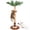 Brown, variant on Brown Tall Palm Tree Cat Sisal Rope Interactive Play For Indoor Cats