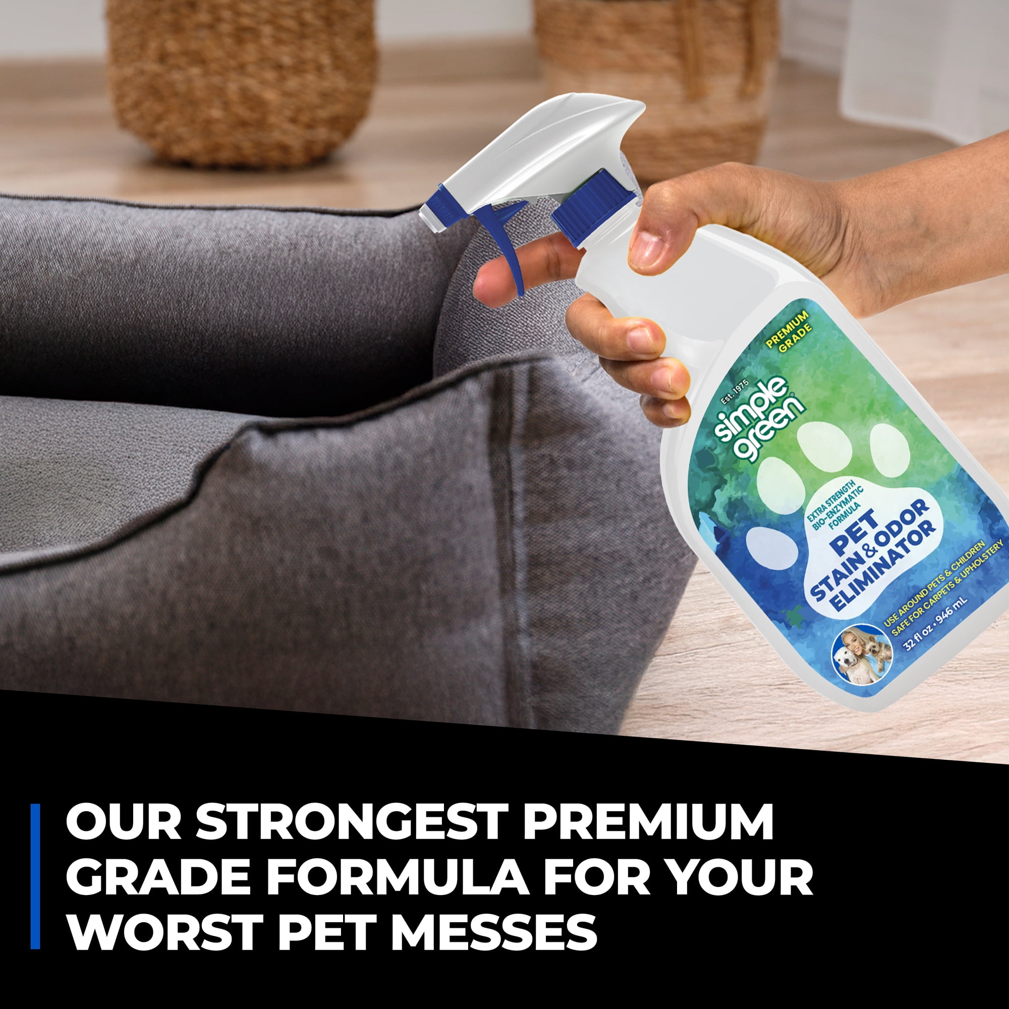 Simple Green Pet Stain and Odor Eliminator, Herbal Scent, 32 oz
