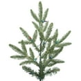 thumbnail image 2 of Vickerman 12' x 92" Deluxe Fraser Fir 9700T - G162490, 2 of 2