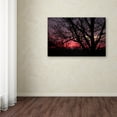 thumbnail image 4 of Trademark Fine Art "Pink Sunset" Canvas Art by Jason Shaffer, 4 of 4