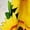 White, variant on nsendm First Dresses for Girls 7-16 Toddler Kids Girls Floral Bohemian Sunflowers Dresses for 3 Year Old Girls White 5 Years