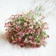 thumbnail image 3 of 16 unids/set de flores artificiales para bebés, Gypsophila falsa DIY, arreglo de ramos florales, boda, hogar, jardín, decoración de fiesta Xemadio 2027248-6, 3 of 6