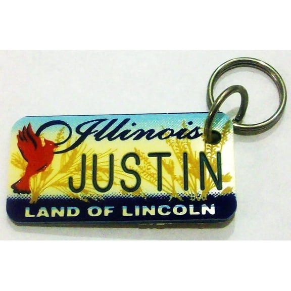 Illinois Land of Lincoln "Justin" Keychain, Key Holder, Key Ring New